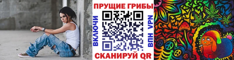 купить   Афипский  Псилоцибиновые грибы Psilocybe 